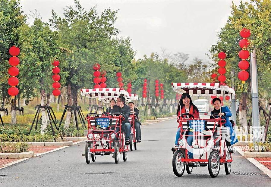 泉州市區(qū)張燈結(jié)彩迎春節(jié) 中國結(jié)式彩燈凸顯年味