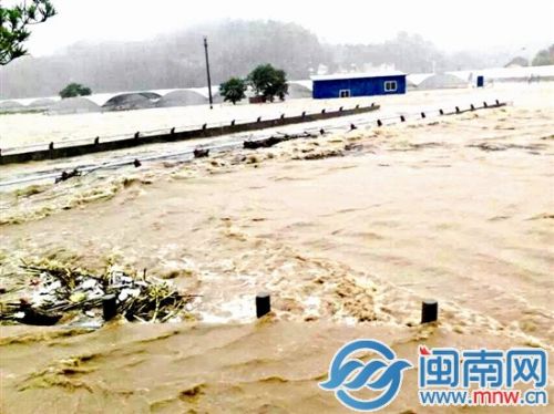 寧化大片農田被淹，種植煙葉的農民損失重