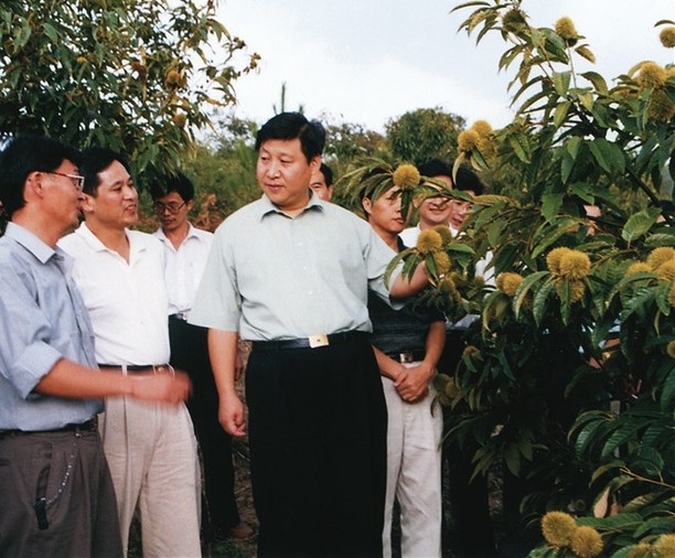 2000年9月，習(xí)近平總書記（時(shí)任福建省委副書記、省長）到掛鉤幫扶點(diǎn)南平市政和縣調(diào)研。（資料圖片）